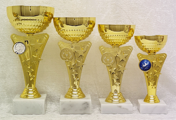 Gullpokal nr. 208