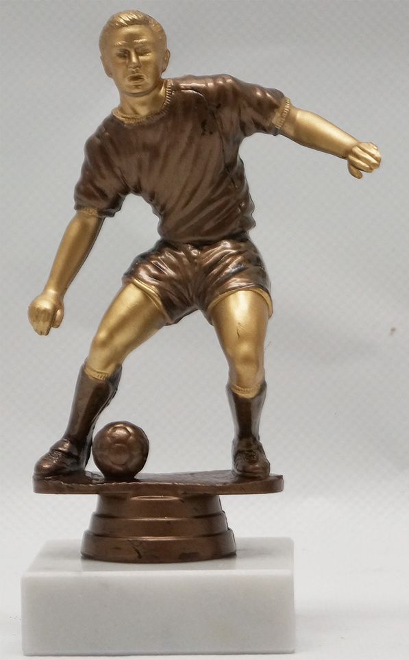 Fotball nr. 6500