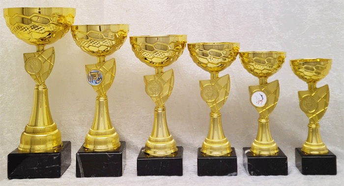Gullpokal nr. 211