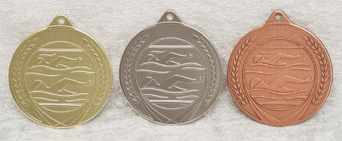 Medaljer og bånd nr. 704