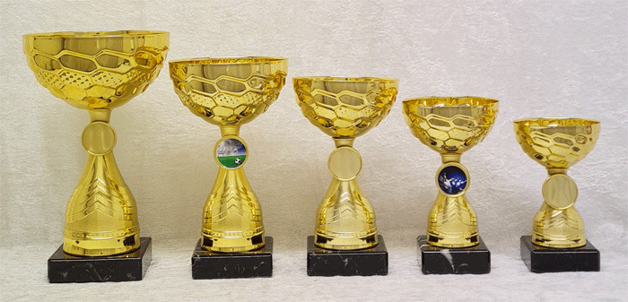 Gullpokal nr. 217