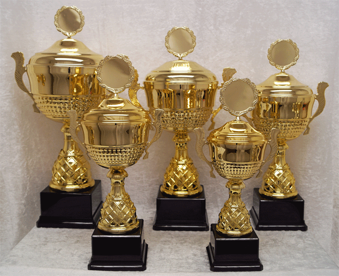 Gullpokal nr. 207