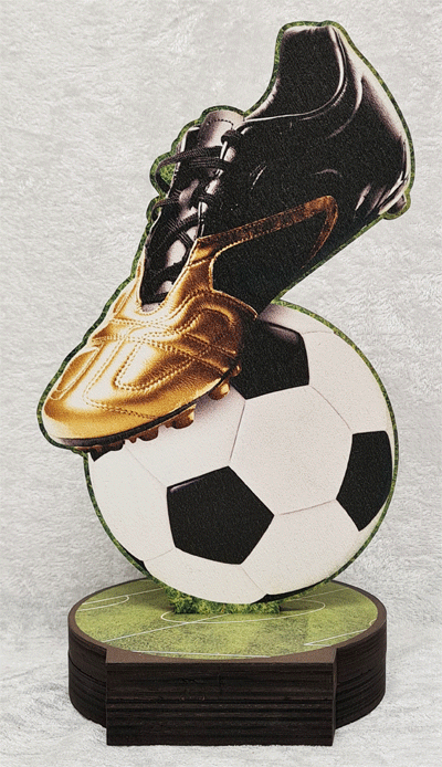 Fotball nr. 6525