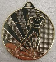 Medaljer og bånd nr. 701