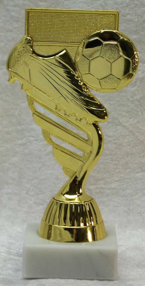 Fotball nr. 6504
