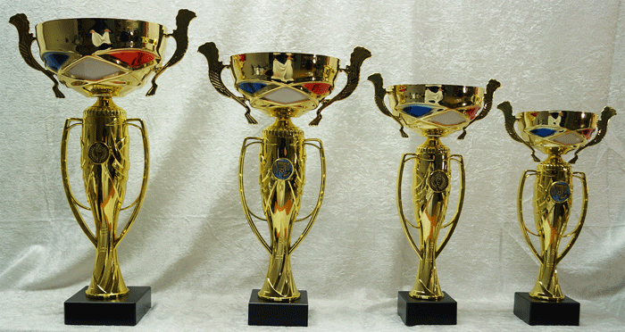 Gullpokal nr. 213