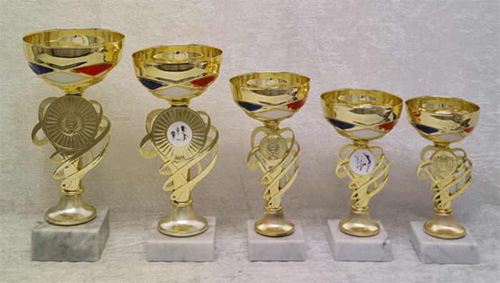 Gullpokal nr. 218