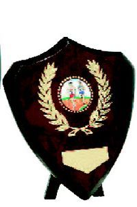 Planketter og skjold nr. 900