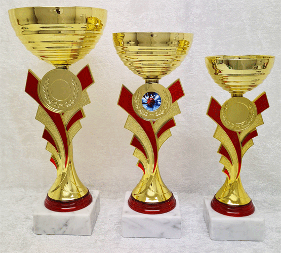 Gullpokal nr. 223