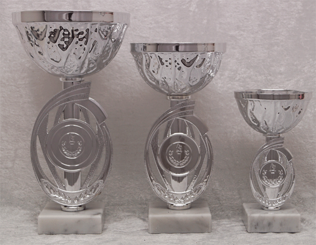 Sølvpokal nr. 303