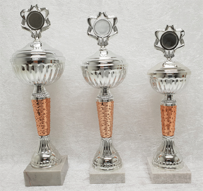 Sølvpokal nr. 301