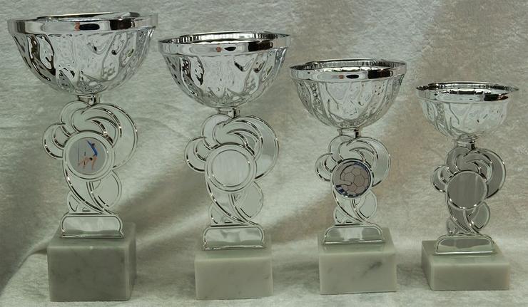 Sølvpokal nr. 302